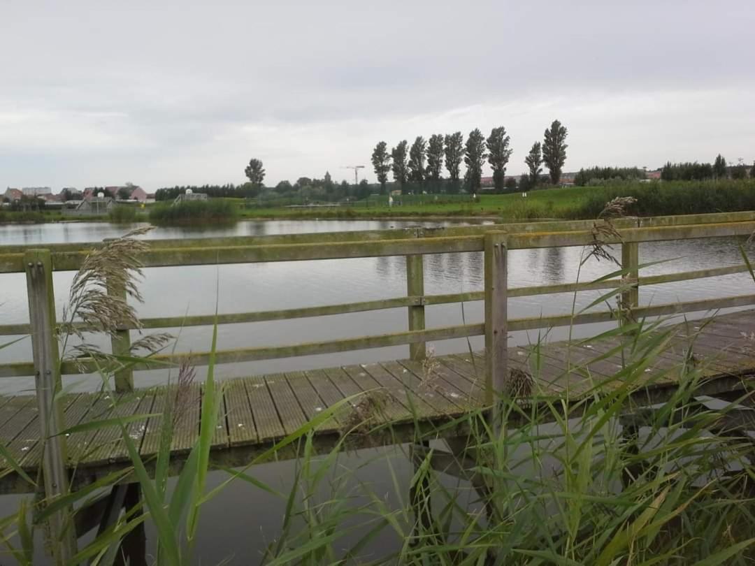 Stacaravan 4Pers In Bredene Met Eigen Tuintje 2449 Exterior foto